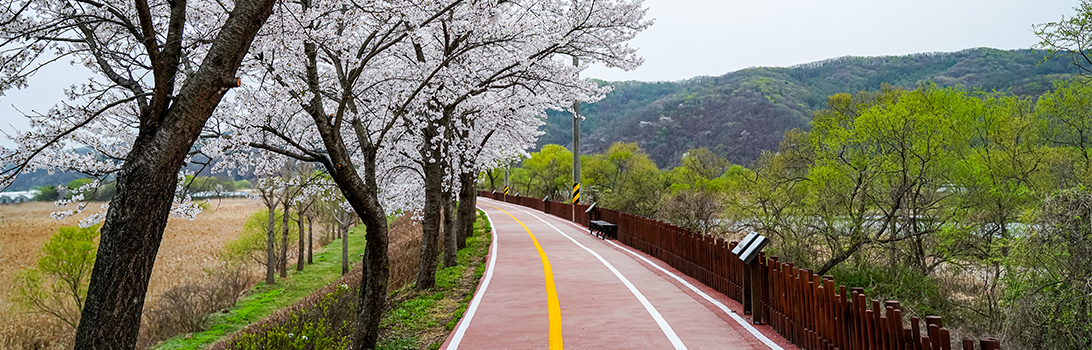 경안습지생태공원 전경2